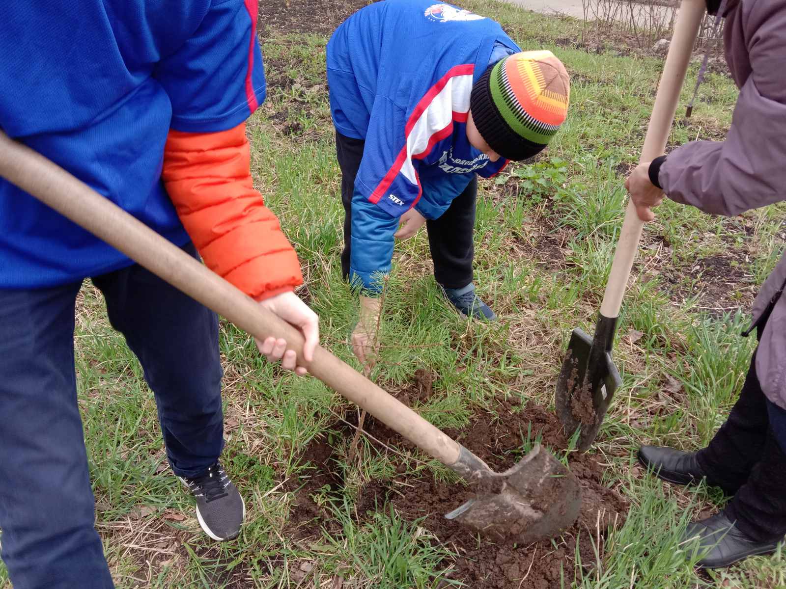 изображение viber 2021 04 28 16 53 50