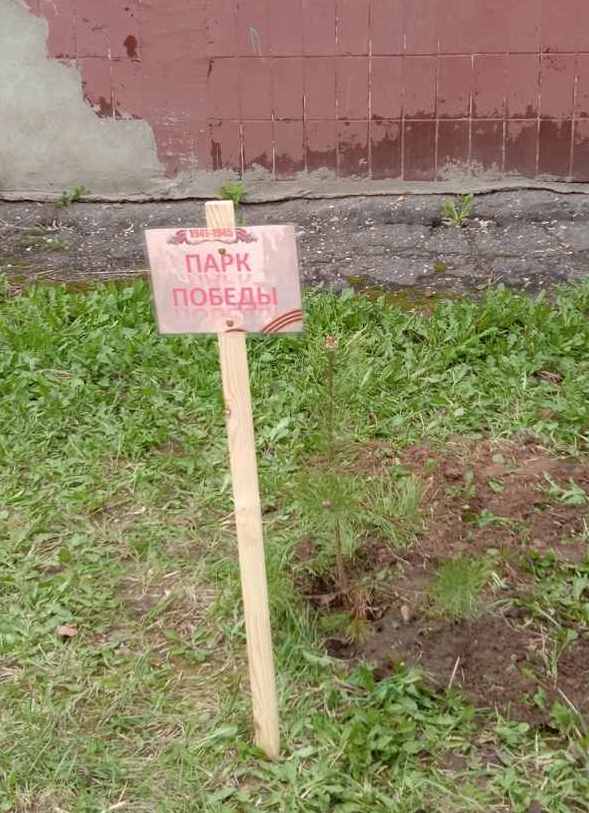 изображение viber 2021 04 28 16 54 20